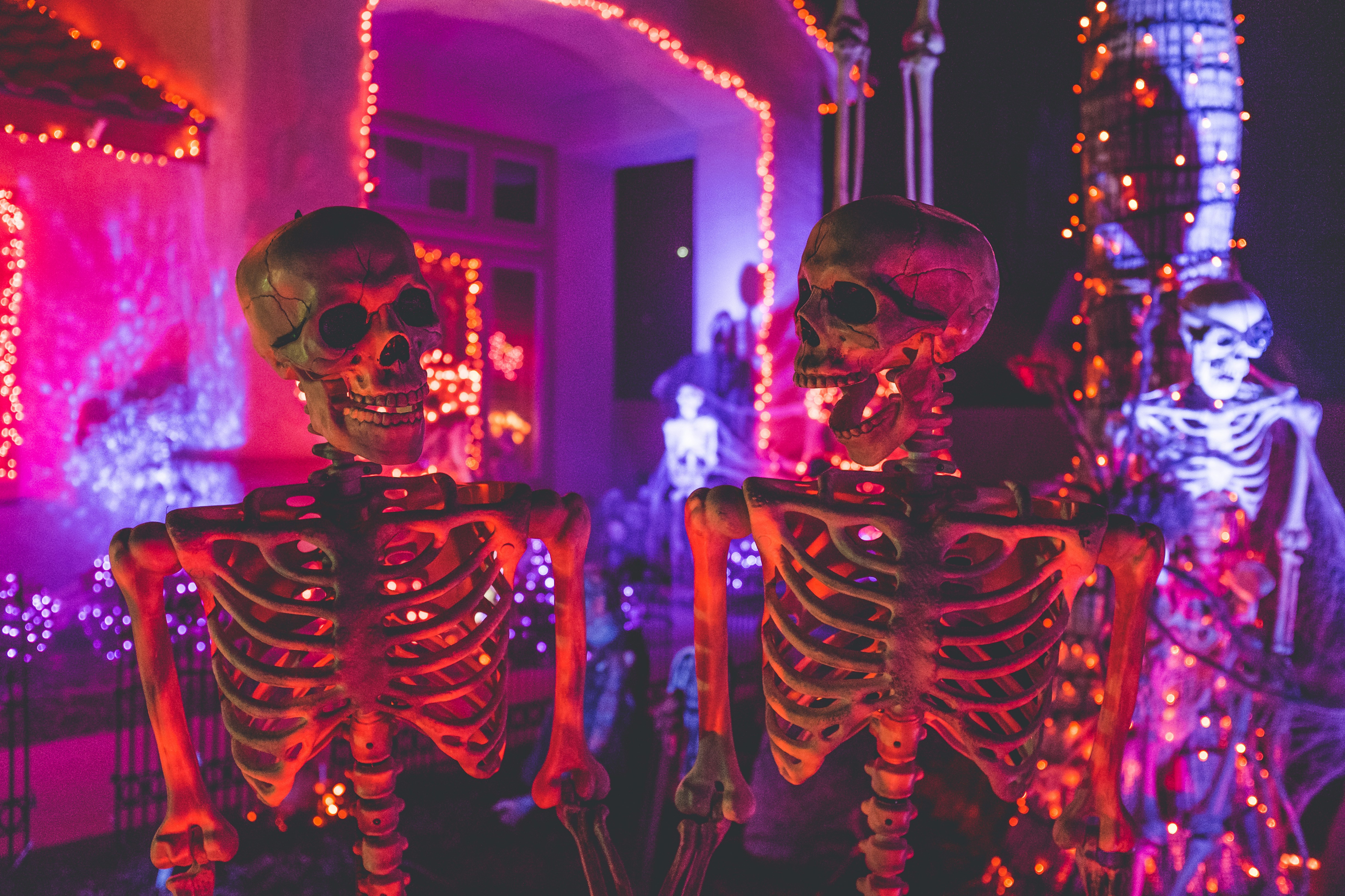 Festive Halloween display featuring carved jack-o-lanterns with glowing faces, orange pumpkins, autumn leaves, and seasonal decorations arranged for a community celebration