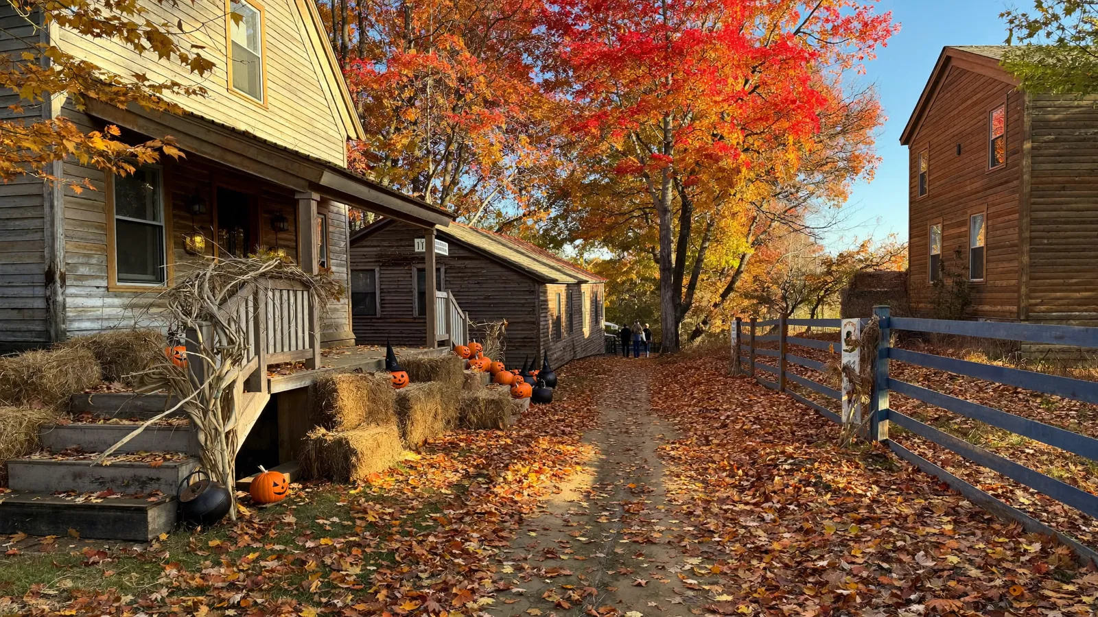 Heritage village lane with carved jack-o-lanterns, witch hats, hay bales and fall leaves for Halloween at Black Creek