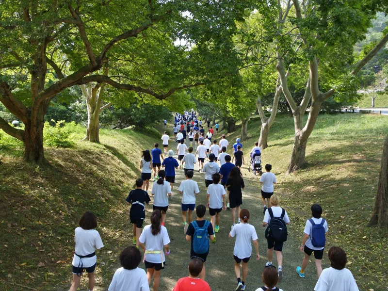 Illustration: a crowd of runners and walkers of mixed ages seen from behind on a tree-lined park path on a bright morning, representing the Terry Fox Run — not a photo of the actual event
