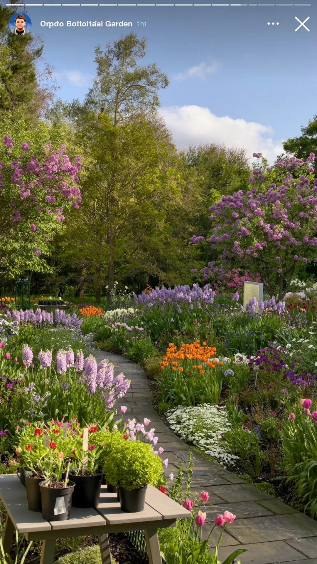 Toronto Botanical Garden and Edwards Gardens — Spring Plant Sale and free gardens entry at 777 Lawrence Ave E