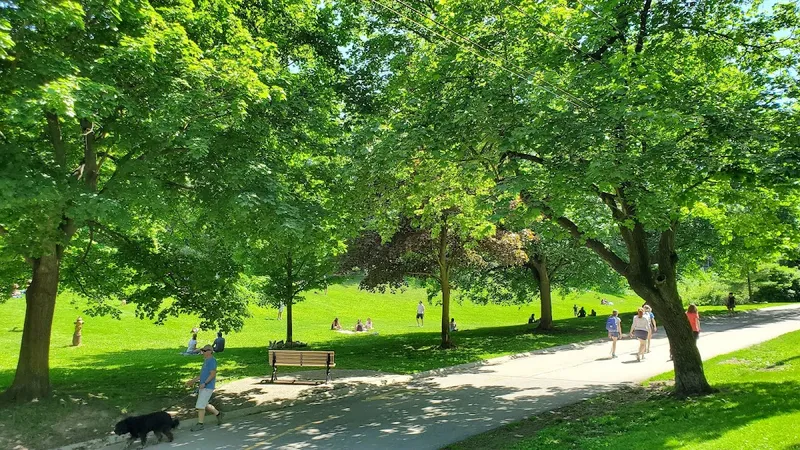 Sherwood Park forest trails and natural terrain