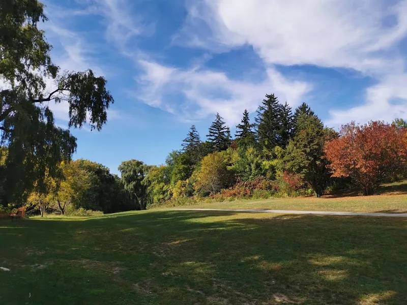 Windfields Park wooded trails and open dog area