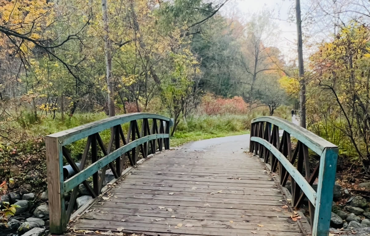 Wooden footbridge with teal railings on a paved path through yellow and orange autumn trees near Edwards Gardens