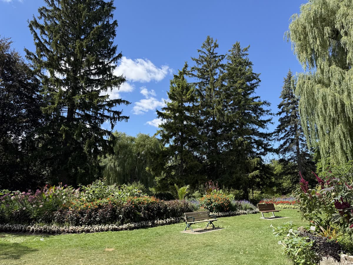 Flower beds, benches, spruce trees and weeping willows under blue sky in the garden at Edwards Gardens
