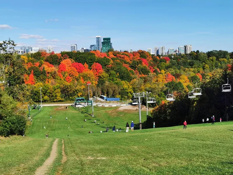 Earl Bales Park