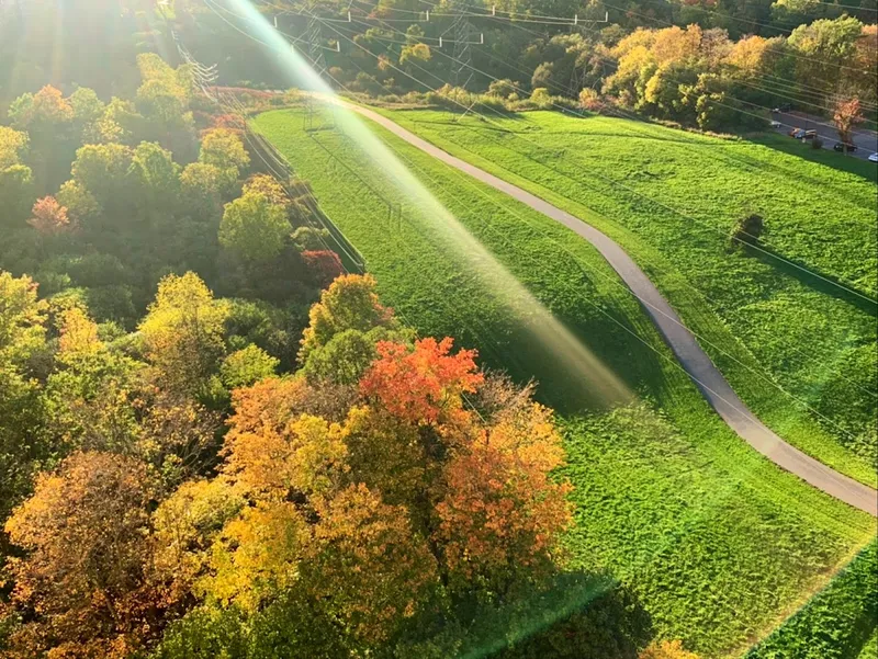 Finch Hydro Corridor paved running trail under transmission towers