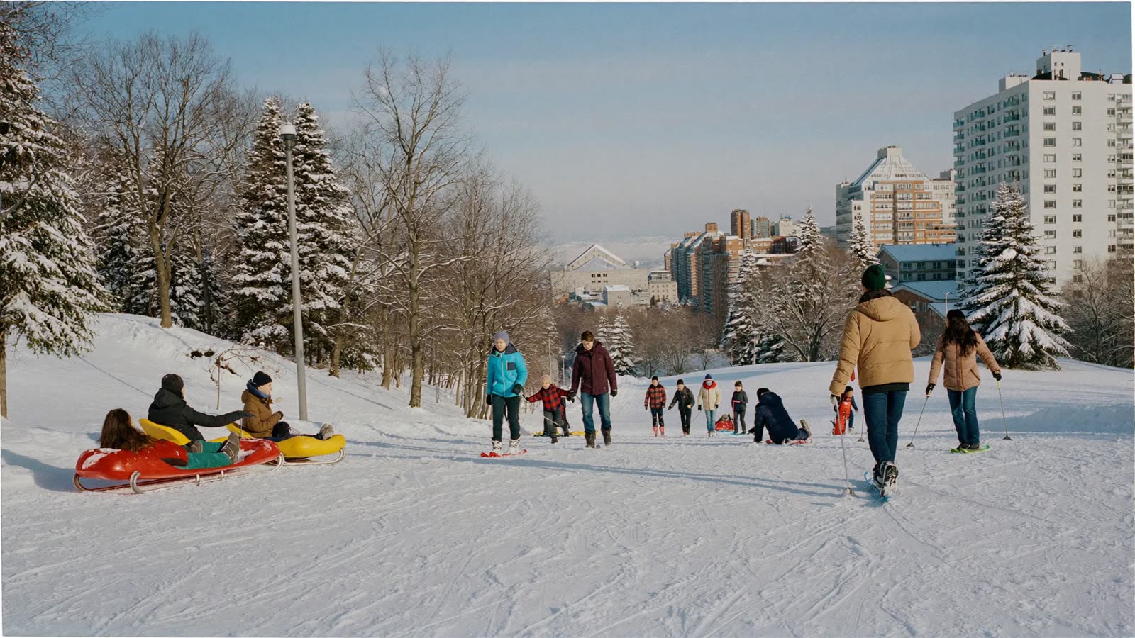 Families sledding down a snowy toboggan hill in a North York park